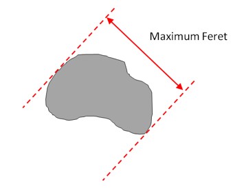 The maximum Feret diameter