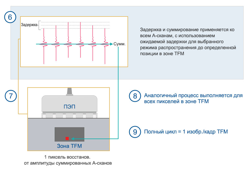 (6) A-сканы подвергаются обработке с вводом временных задержек и суммированием. (7) Реконструкция TFM.