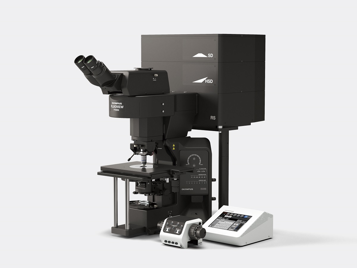 Laser scanning microscopy