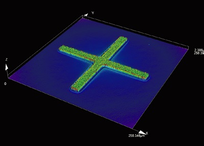 Precision 3D measurement