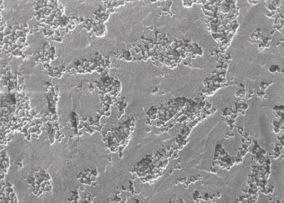 No color information