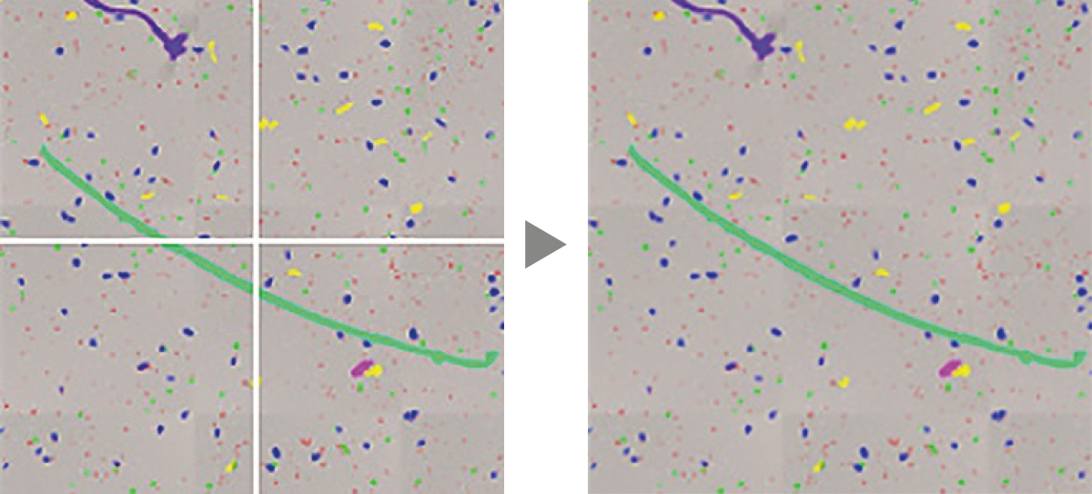 自动合并和分析大颗粒。