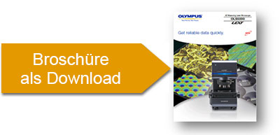 button for brochure download