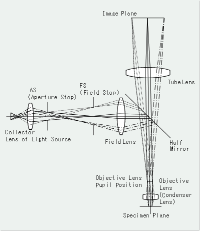 Figure 2. Optical Configuration of Reflected Illumination Optical System