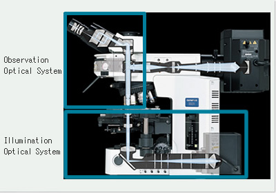 Microscope Optical System Configuration