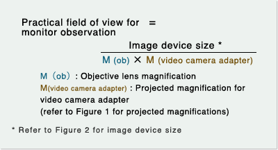 Practical Field of View for Monitor Observation 