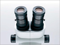 SDF - Lineup of Objective Lenses