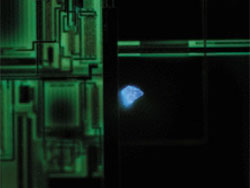 半导体晶圆上颗粒异物的荧光显微观察