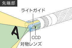 50-watt metal-halide lamp 50-watt metal-halide lamp