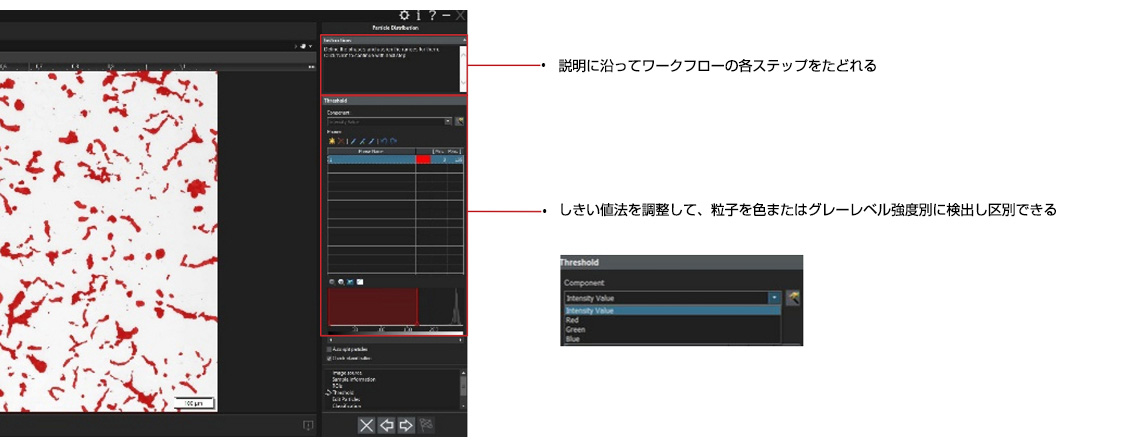 粒子分布ソリューション