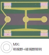 ウエハーサンプル上の回路パターン - MIX
