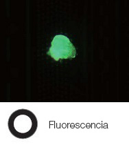 Residuo fotorresistente en una oblea semiconductora: fluorescencia