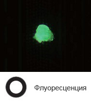 Остаточный фоторезист на полупроводниковой пластине — флуоресценция