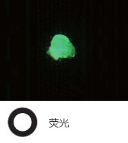 半导体晶圆上的光刻胶残留 — 荧光
