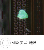 半导体晶圆上的光刻胶残留 — MIX