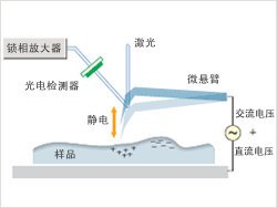 Surface Potential mode1