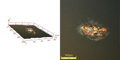 Ruggine analizzabile con il microscopio a luce polarizzata 693x, DSX510.