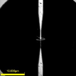 Figure 8. Device integrity inspection. (a) SEM of an electrically continuous device and b) the OLS5000 microscope’s image of a similar device; the laser-scanning image shows that the antennas were damaged during the fabrication.