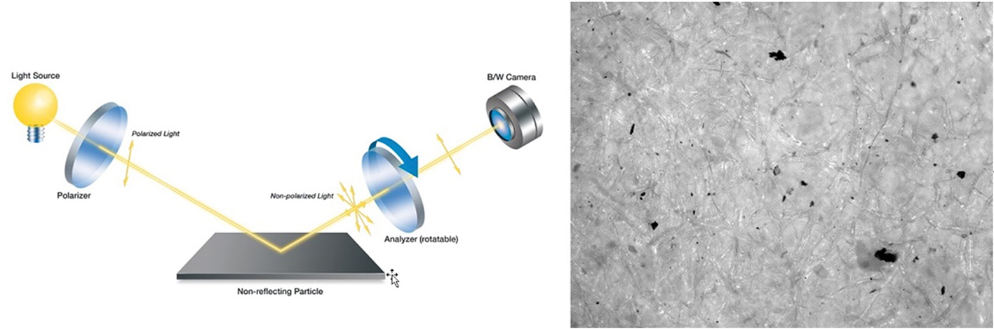 Figure 2: The incident light on the filter membrane and on the non-metallic particles is scattered diffusely. No matter the incident light, the "reflected" light is not polarized. Even if the incident light is polarized, there is no effect when analyzing the polarization. The filter membrane is always brighter than the particles on it.