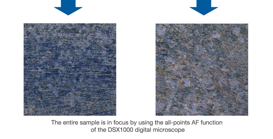The entire sample is in focus by using the all-points AF function of the DSX1000 digital microscope