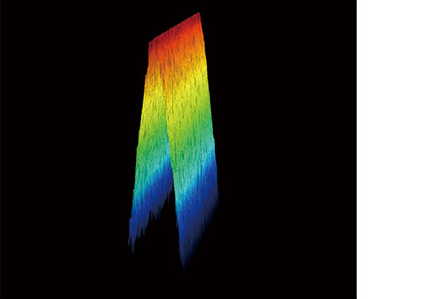 LEXTでは検出することができます