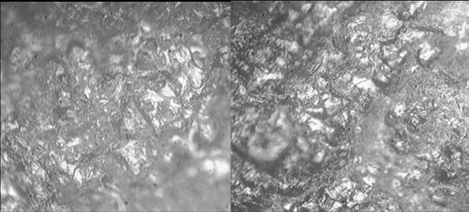 Figure 5 : Photomicrographs of the surfaces of scrapers used on fresh hide and dry hide at 200x magnification