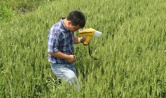 研究人员正在中国南京城郊的农田中采集数据