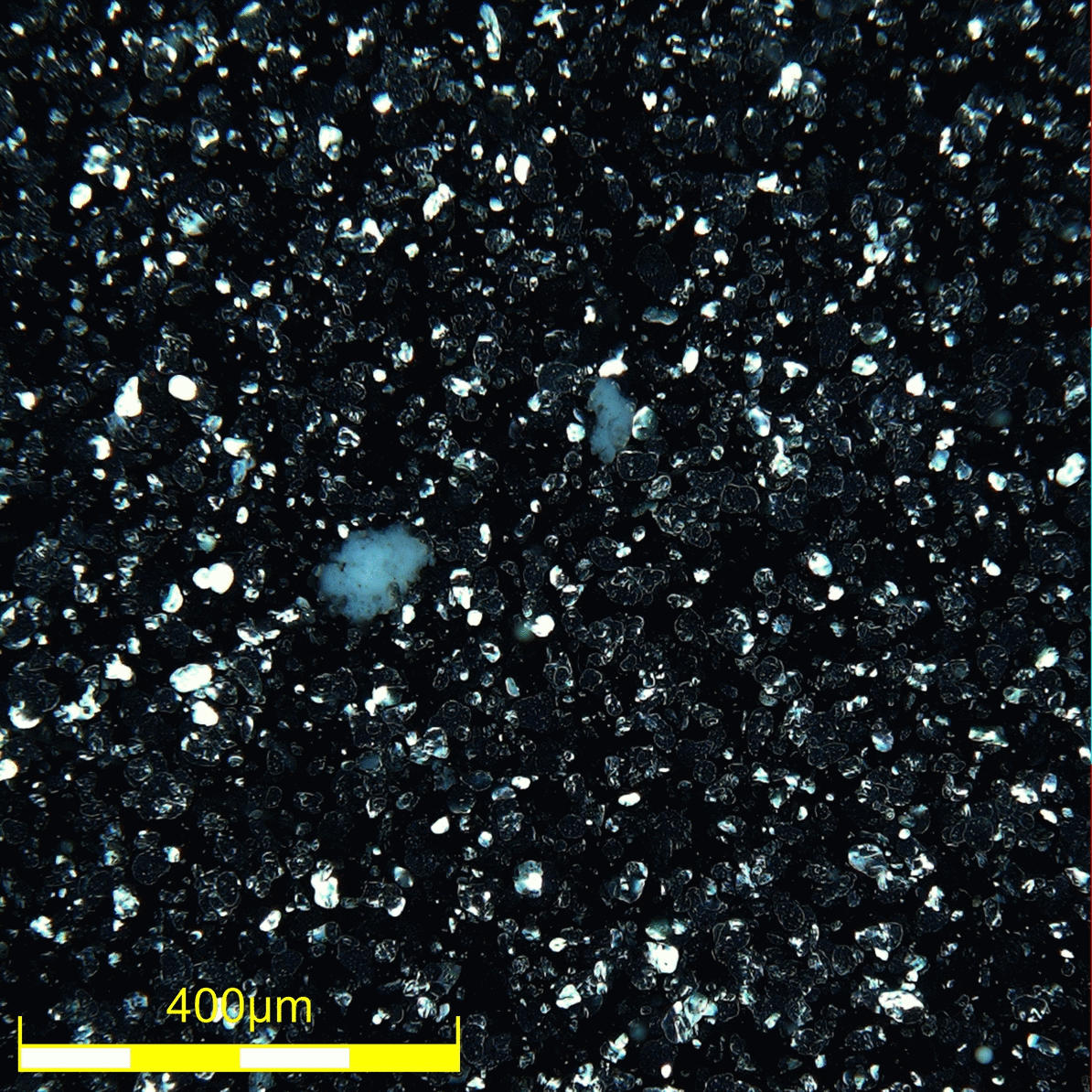 Contaminazione della vernice trasparente mediante campo scuro direzionale (microscopio 277x, DSX510).