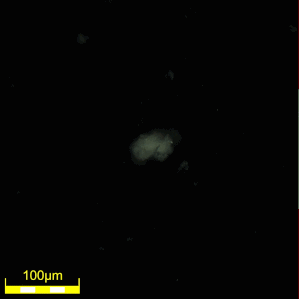 Particella sospesa in vernice trasparente (microscopio 693x, DSX510).