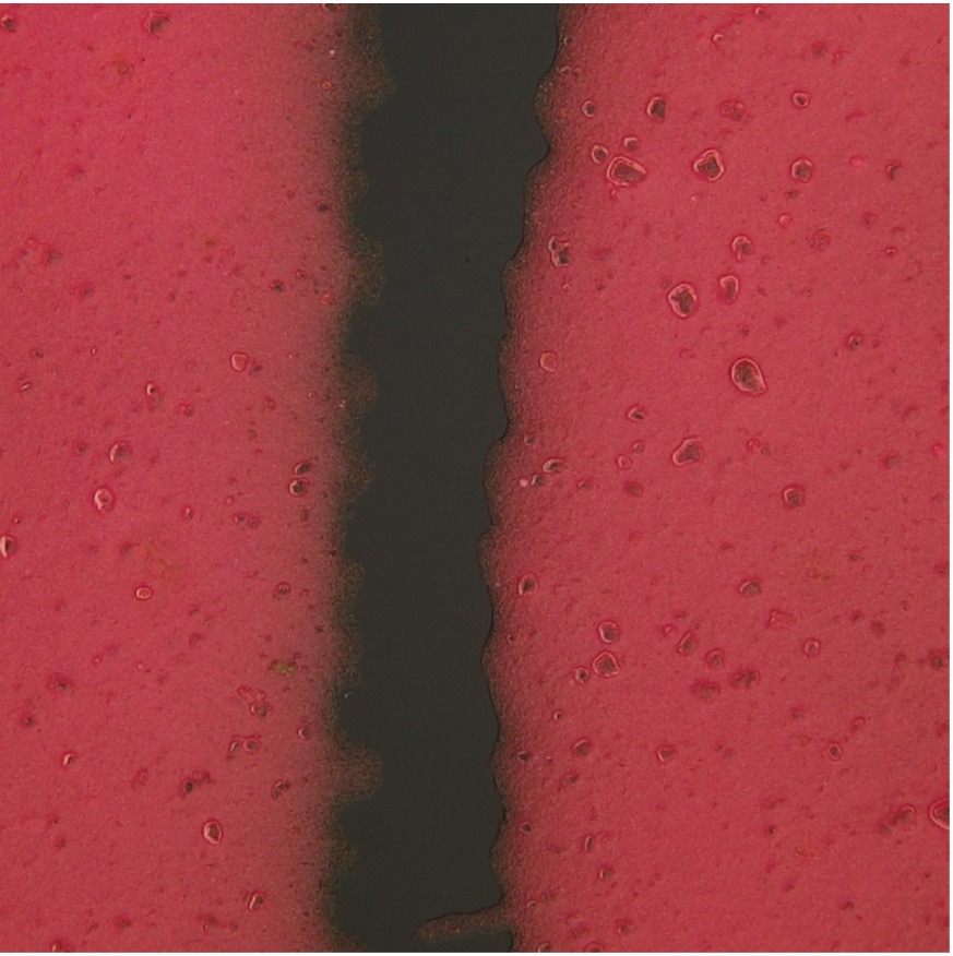 High-magnification image of the print on a baby bottle