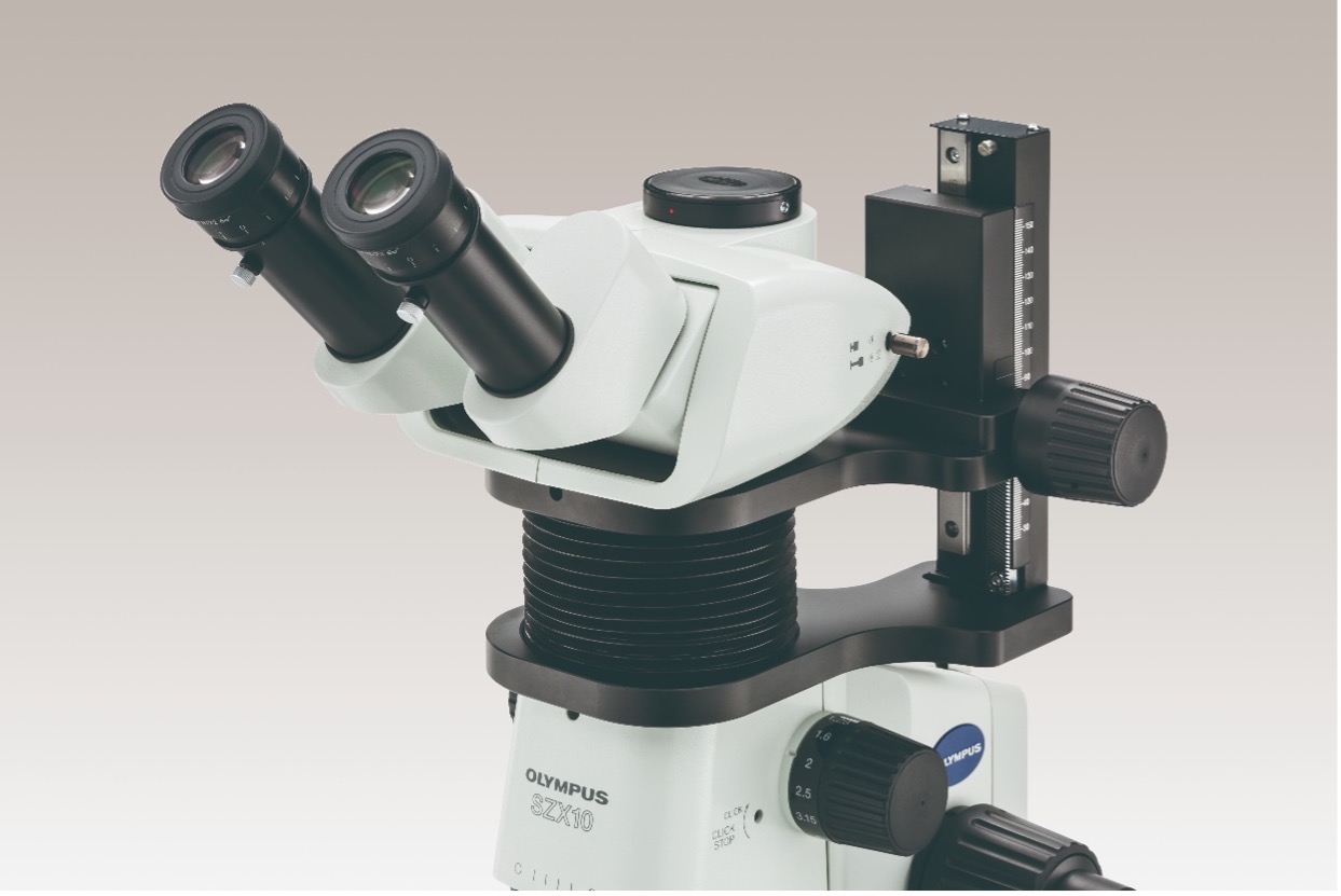 Microscopio digitale