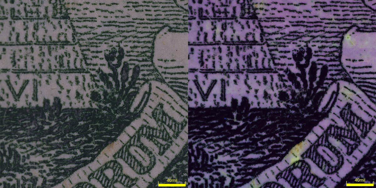 Images of the US dollar in brightfield (left) and ultraviolet (UV) observation (right) on the DSX1000 digital microscope.