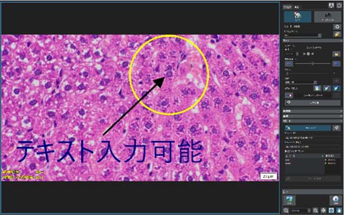 遠隔での映像共有画面イメージ　左：作業者のユーザーインターフェース