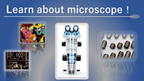 Learn about microscope
