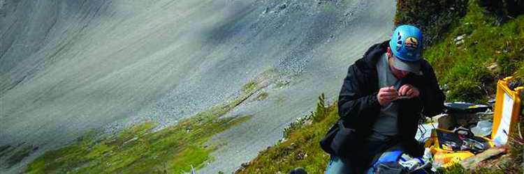 Mineralogical analysis