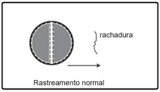 Figura 6