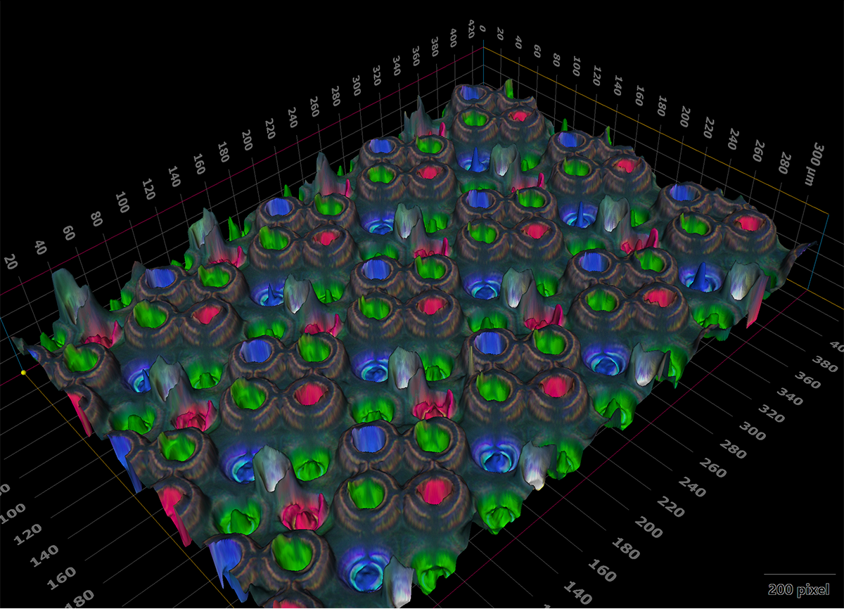 The privacy layer resolved as a 3D image, created using Z-stacking. It sits higher in the panel than expected, with each peak representing a single subpixel.