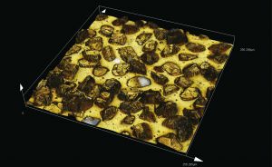 Grind stone / Profile measurement 