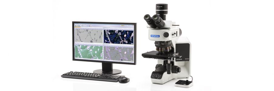 オリンパスの顕微鏡と分析ソフトウェア