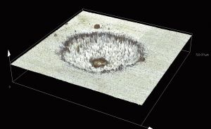 Corrosion on stainless steel / Height measurement