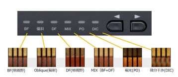 観察切り替えボタン