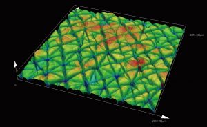 Skin (replica) / Area roughness measurement