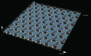 MEMS ultrasonic transducer