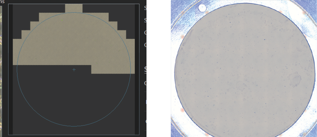 概览图像可识别过滤器覆盖率和颗粒聚集。