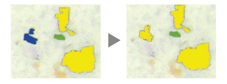 CIX100 检测系统的交互式粒子数据修正