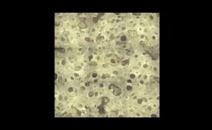 Sponge / Profile measurement 