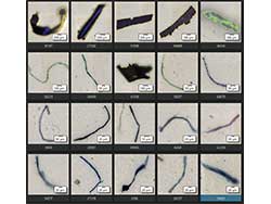 用于技术清洁度检测的颗粒分析系统