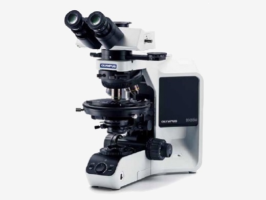 BX53-P orthoscopic configuration