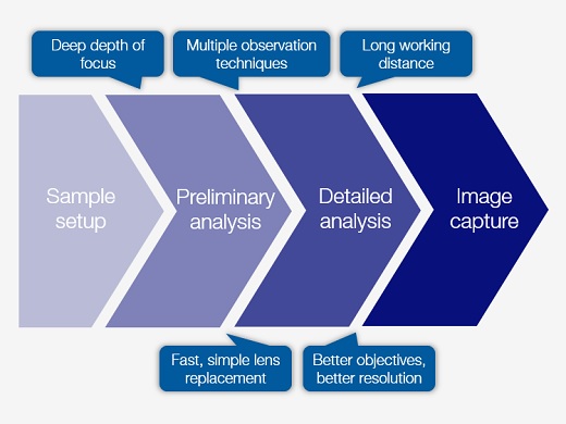 Low-Magnification Overview Imaging and Micron-Level Analysis in One System