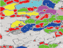 常规软件 晶界不清晰